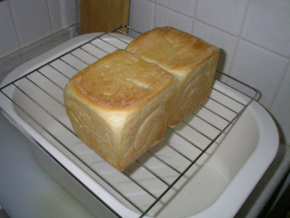 食パン_プルマン全体１